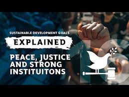 sdgs explained 16 peace justice and