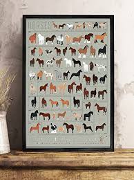 Pop Chart Horses A Chart Of Notable Breeds Poster Print 24 X 36 Multicolored