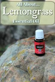 all about lemongr essential oil