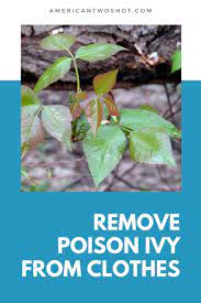 how to remove poison ivy from clothes
