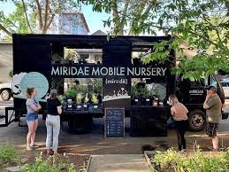 Mobile Nursery Miridae