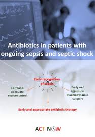 Read about symptoms, treatment and risk factors for sepsis. Antibiotics In Patients With Ongoing Sepsis And Septic Shock Global Alliance For Infections In Surgery