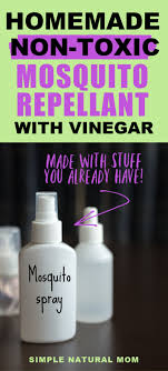 simple homemade mosquito repellent with