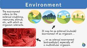 environment definition and exles