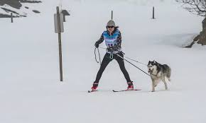 dog friendly cross country skiing in