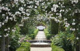 Find the perfect english rose garden stock photo. June S Romantic English Rose Gardens Visitengland