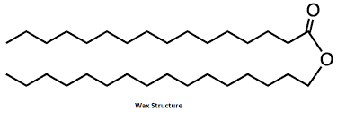 what are lipids and what are some of