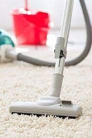 carpet cleaning portland me abr