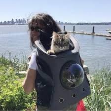 Many adventurer cat owners say their felines are comfortable snuggling up inside their daypacks or nestling atop them, but there are a variety of backpacks on the market that are designed specifically for pets. Pin On The Fat Cat Backpack