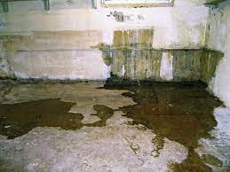 Foundation Leaking | Basement Waterproofing Experts | FRS
