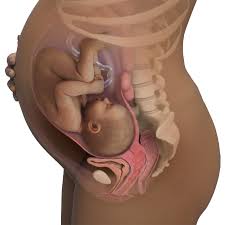 38 weeks pregnant symptoms baby size