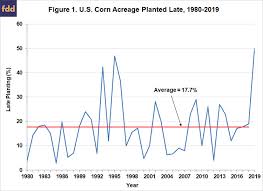 The Implications Of Late Planting For The 2019 20 Corn