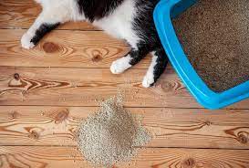 how to get cat litter residue off floor