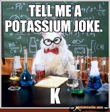 chemistry cat memes - Google Search | Geek-o-rama | Pinterest ... via Relatably.com