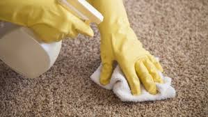capet cleaning tips san clemente