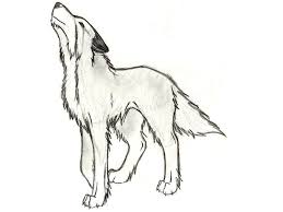 Comment dessiner un loup facilement et étape par étape. 1001 Astuces D Artiste Pour Apprendre A Realiser Un Dessin De Loup