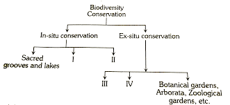 The Following Is A Incomplete Flow Chart Depicting In Situ