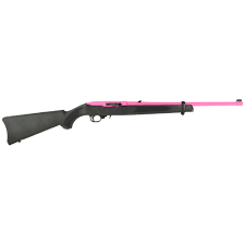 ruger 10 22 and