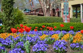 busch gardens williamsburg retains