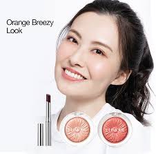 makeup clinique hong kong e commerce site