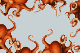 I had been outdoor dining with friends in a garden. My Octopus Teacher Cara Saven Wall Design