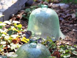 Recycled Water Bottle Garden Cloche