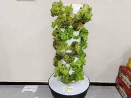 The Best Hydroponic System For
