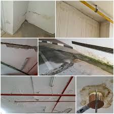 Water Seepage In Walls And S
