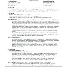 American Resume Template Resume Templates American Style Tailor