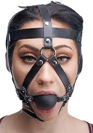 Amazon.com: Master Series Leather Head Harness with Ball Gag : Health &  Household