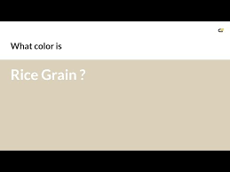 Rice Grain Color Dbd0b9 Hex Color