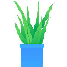 Potted Flower Succulent Icon Aloe