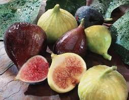 Image result for figs