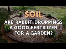 are rabbit droppings a good fertilizer