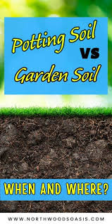 potting soil vs ground soil the best