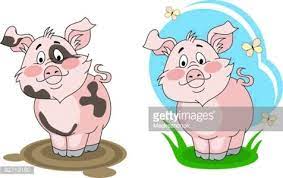 dirty and clean pig stock clipart