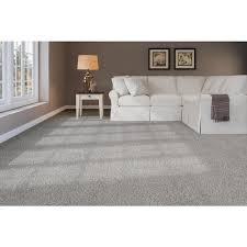 texture carpet sle soft breath ii