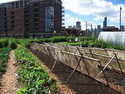 Urban Agriculture Wikipedia