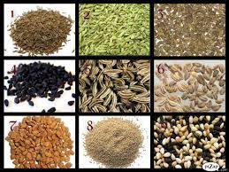 The common chemical constituents of cumin are cuminaldehyde, cymene and terpenoids. My Timepasses Spices Malayalam English 1 Jeerakam Cumin 2 Perum Jeerakam Saumph Or Moti Saumph In Hindi Fennel Seeds Sweet Cumin 3 Saumph Patli Saumph Or Choti Saunf In Hindi Aniseed Anise Aniseed