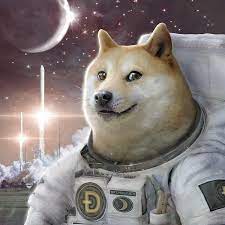 DOGE to the Moon - Home | Facebook