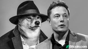 Elon musk and dogecoin are mixing things up. Mysterious Address With 3 Billion In Dogecoin Sends Cryptic Binary Messages To Elon Musk Altcoins Bitcoin News