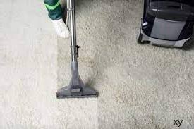 how much should you tip a carpet cleaner