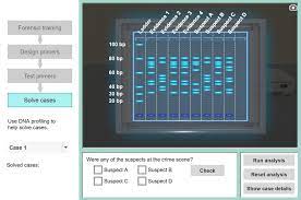 Choose from 500 different sets of dna profiling flashcards on quizlet. Dna Profiling Gizmo Lesson Info Explorelearning