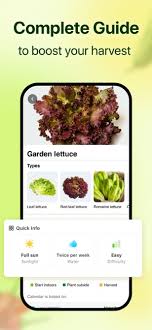 Growit Vegetable Garden Care On The