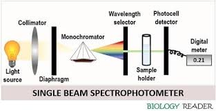 what is spectrophotometer definition