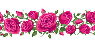 hot pink rose images browse 106 591