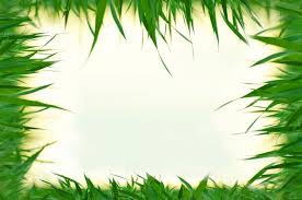 natural background frame gr green