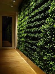 Wall Garden In The Interior The