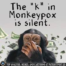 The Patriot Post - #monkeypox #moneypox https://fal.cn/3oT2Q | Facebook