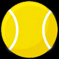 carpet court pros and cons r tennis